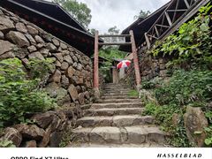 -大奇山国家森林公园