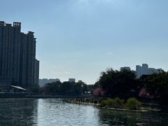 -望江楼公园