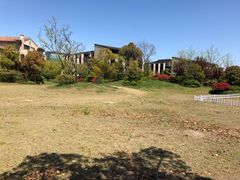 -上海崇明金茂凯悦酒店