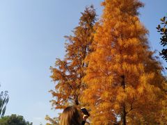-尚贤河湿地