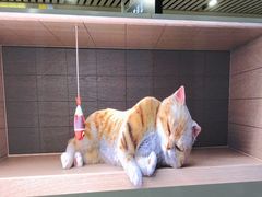 -沈阳站