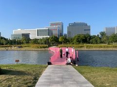 -春花秋色城市公园