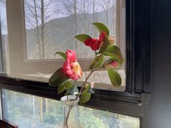 -WILDS 野有食(碧坞店)