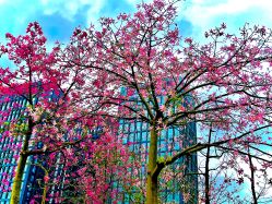 点击看大图 -可优蜜儿童摄影