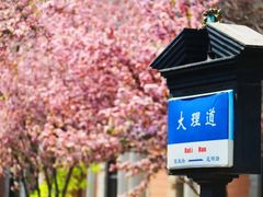 -天津五大道文化旅游区