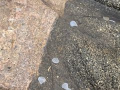 -兴城海滨风景区