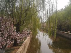 -元大都城垣遗址公园