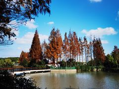 -黄兴公园