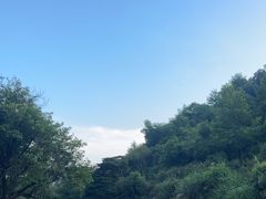 -祁门牯牛降观音堂风景区