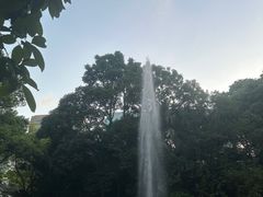 -九龙公园