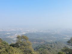 -黄埔油麻山森林公园
