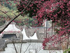 -乌山风景区