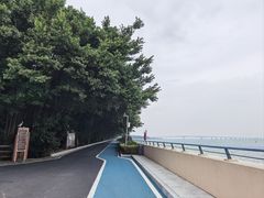 -大湾区中央湿地公园