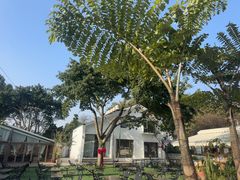 -柠檬花院烤肉·会议团建·聚会·求婚(三圣乡店)