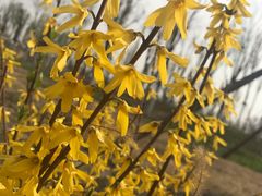 -天津东丽湖风景区