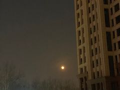 -锦尚阁烤鱼(望京新荟城店)