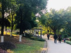 -重庆彩云湖湿地公园