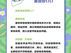 -瑞派申生动物医院·24H夜诊·国际动物医疗中心·骨外科(吴中路店)