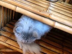 -大鹅岛灶台鱼·铁锅炖(水库路店)