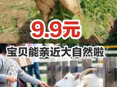 -前小桔亲子创意农场·草莓采摘·露营烧烤