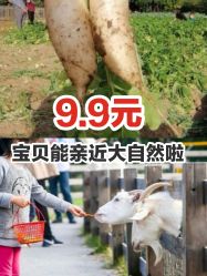 -前小桔亲子创意农场·草莓采摘·露营烧烤