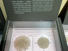 -大馆(前中区警署建築群)