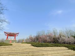 -大望京公园