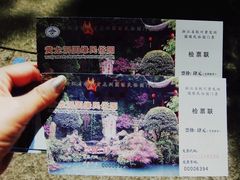 -杭州黄龙洞