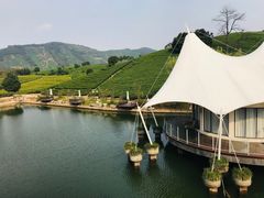 -帐篷客·溪龙茶谷度假酒店