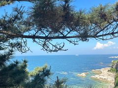 -养马岛旅游度假区
