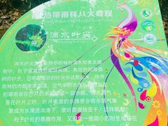 -西双版纳原始森林公园
