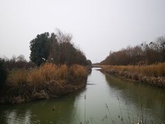 -南湖湿地公园