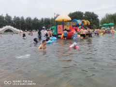 -柳浪游泳场