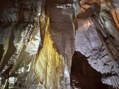 -怀托摩萤火虫洞