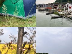 -新江湾城公园