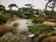 -罗红摄影艺术馆