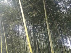 -终南山古楼观历史文化景区