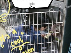 -萌兽医馆·宠物医院·猫骨科(创景店)