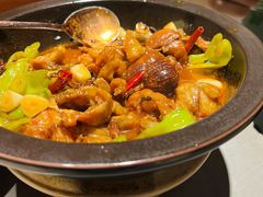 黑松露牛肝菌焖牛蛙-云海肴·汽锅鸡·云南菜(高德置地店)