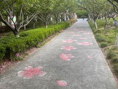 -高东镇樱花园
