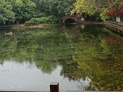 -望江楼公园