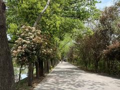 -同里国家湿地公园
