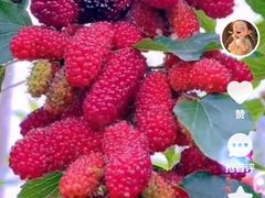 -合和大唐足道·泰式·SPA (凤城五路店)