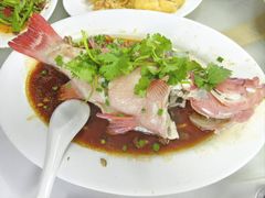 东星斑-新陶陶酒家