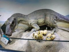 -国家自然博物馆