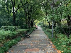 -蠡湖中央公园