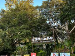 -芭厘农庄老字号·清远鸡