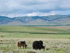 -青海湖国家重点风景名胜区