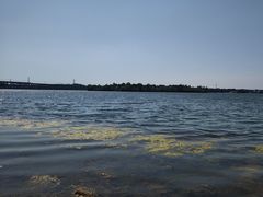 -丁香湖公园