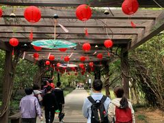 -白马涧龙池景区